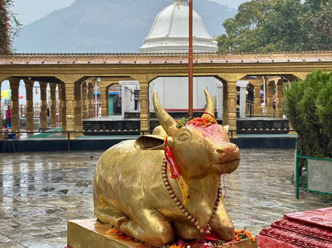 Bindhya Basini Temple-博卡拉必去景点