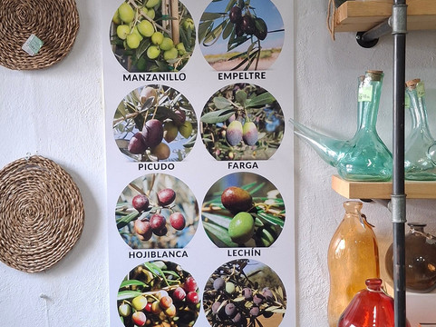 Almazara La Erilla, OleoTurismo en Granada-Niguelas必去景点