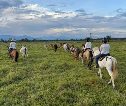 Wild Llanos Tours and Safaris-Yopal必去景点