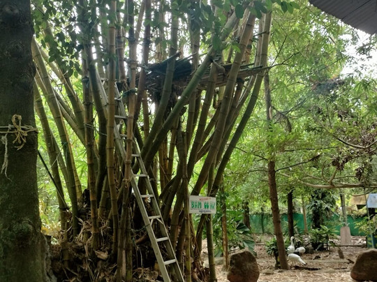 Kauthuka Park-Chalakudy必去景点