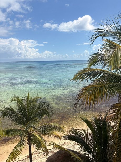 Del Sol Beachfront Properties-官方