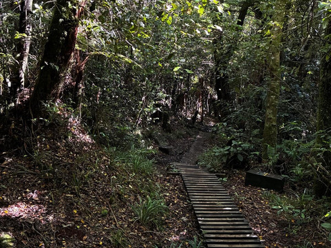 Mount Taranaki-Egmont National Park必去景点
