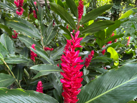 La Rinconada Ecoparque & Resort-圣克鲁斯省必去景点