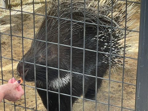 Animal Edventure Park-博因顿海滩必去景点