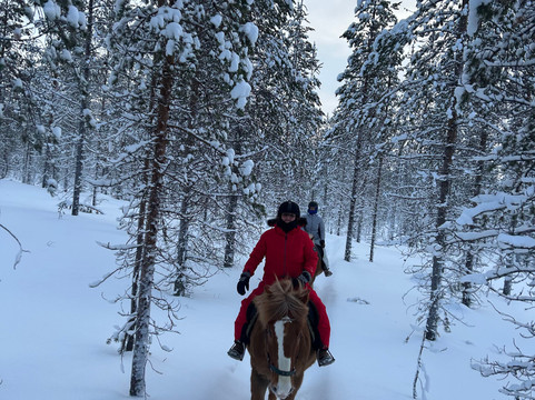 Polaris Point Horses-撒利塞卡必去景点