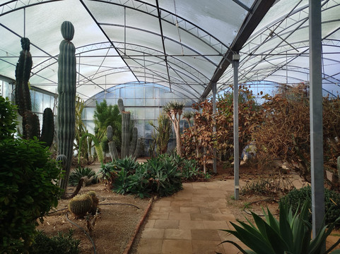 Seven Maze Charming House主图