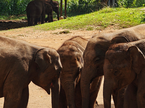 Taxisceylon-瓦勒迦玛必去景点