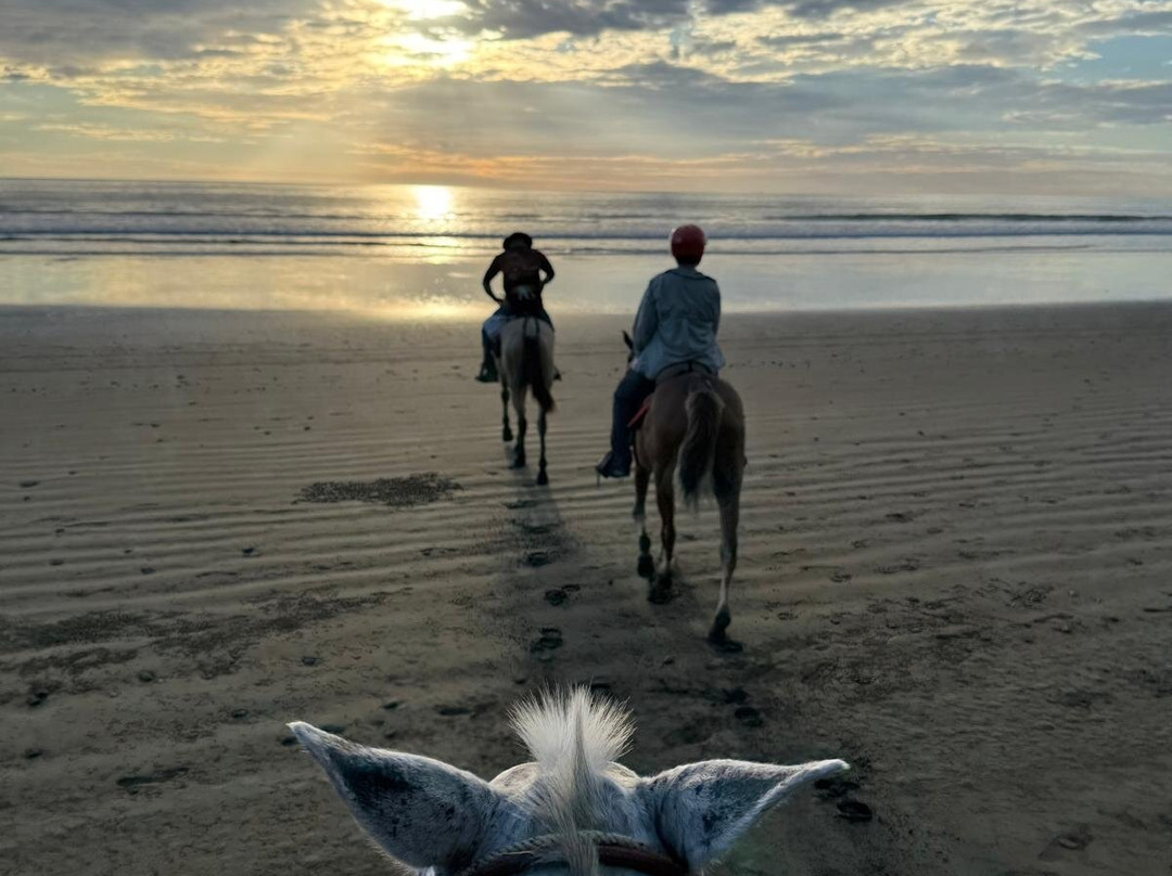 Rancho La Merced National Wildlife Refuge-乌维塔必去景点