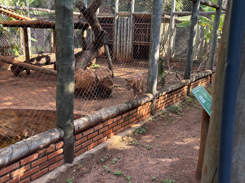 Bio Park-博尼图必去景点