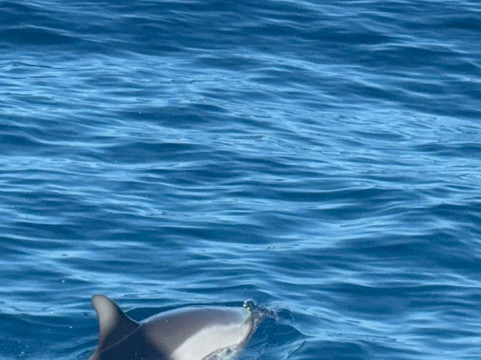 Makana Charters and Tours-卡慕也拉必去景点