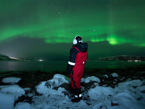 Blue Puffin - Tromso Experiences-特罗姆瑟必去景点