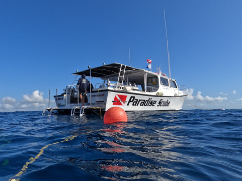 Paradise Scuba & Snorkeling Center-La Parguera必去景点