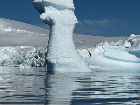 Poseidon Expeditions-迈阿密必去景点