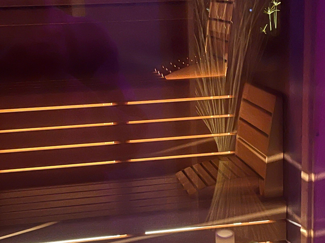 拉麦伊森健康温泉酒店主图