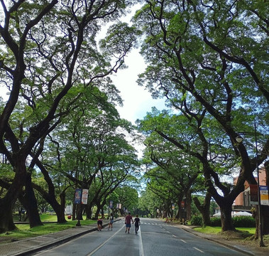 University Of The Philippines - Diliman-奎松市必去景点