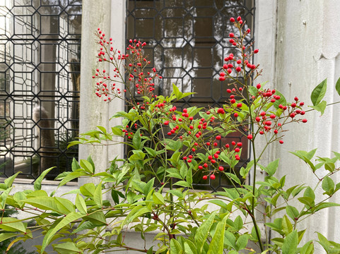 The Dell House主图