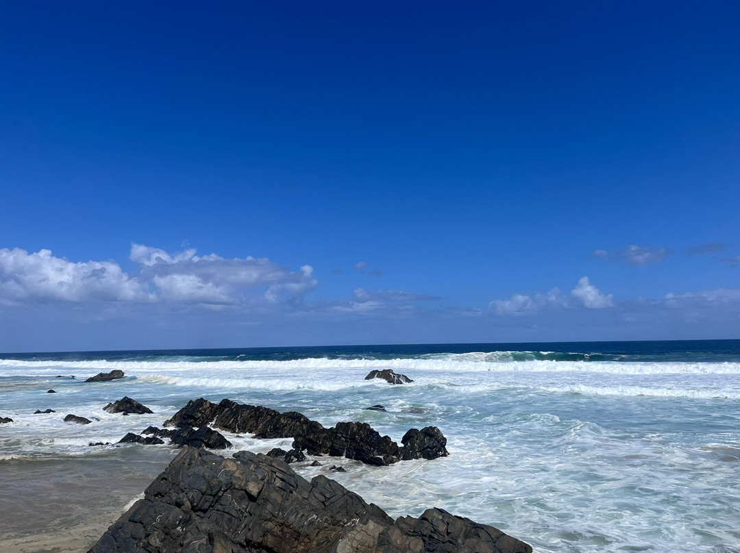 GS Africa | EagleRider SA Motorcycle Tours  & Rentals-开普敦中心区必去景点