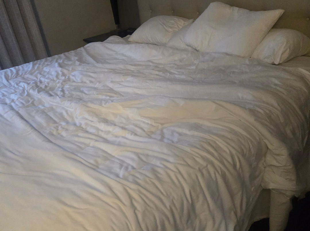 圣保罗市中心德鲁里广场酒店主图