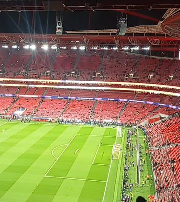 Estádio do Sport Lisboa e Benfica-里斯本必去景点
