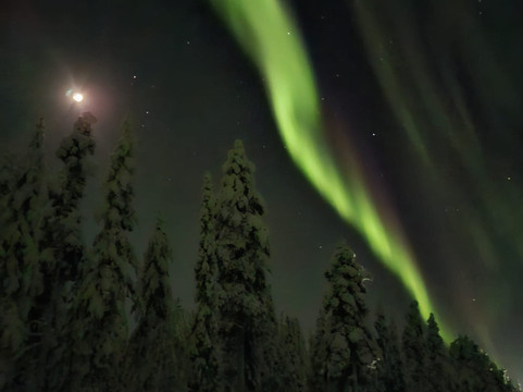 Arctic Wonders-Sodankyla必去景点