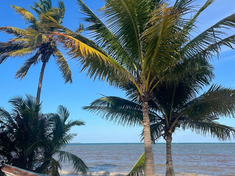 Blue Caribe-艾库玛尔必去景点