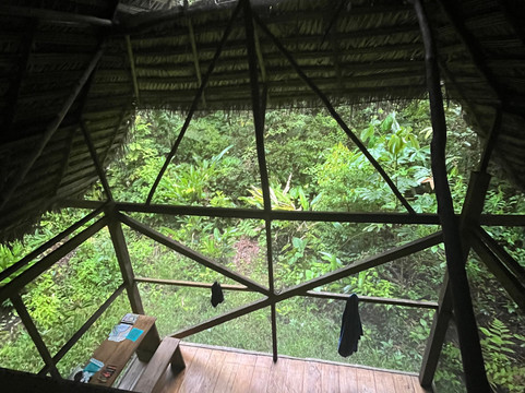 Psychonauta Foundation-伊基托斯必去景点