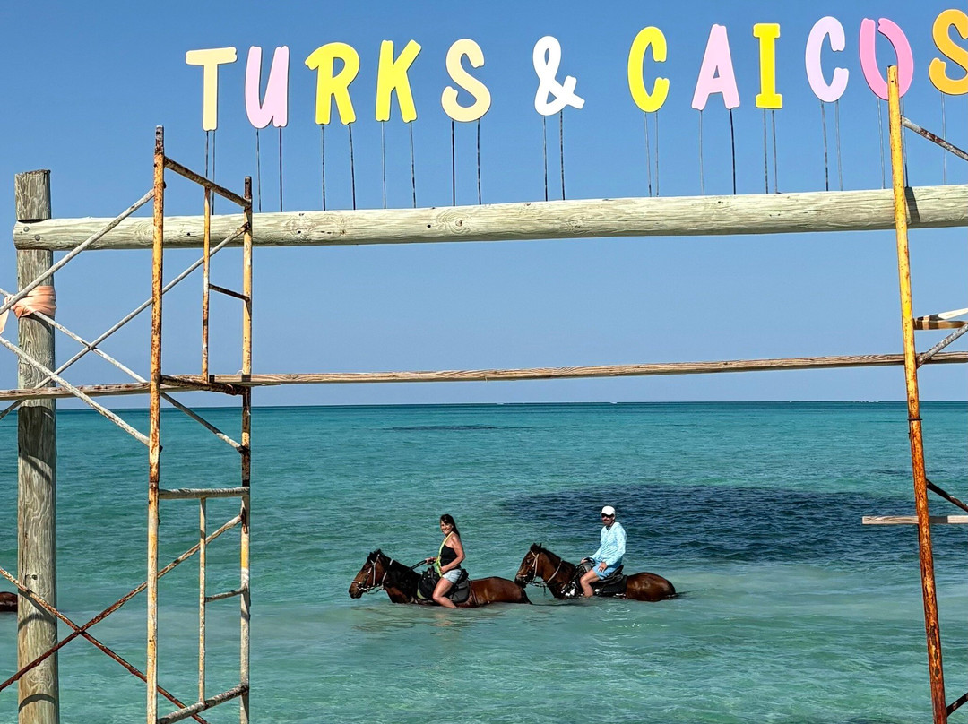 Unique Tours and Rentals-普罗维登西亚莱斯必去景点