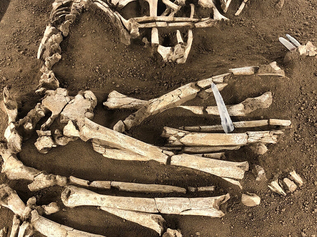 Museo Archeologico Nazionale Di Mantova-曼托瓦必去景点