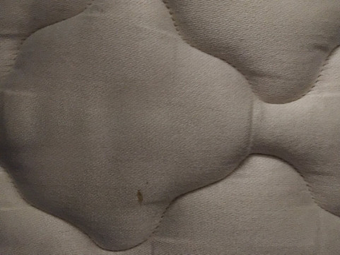 布拉德福德旅客之家酒店主图