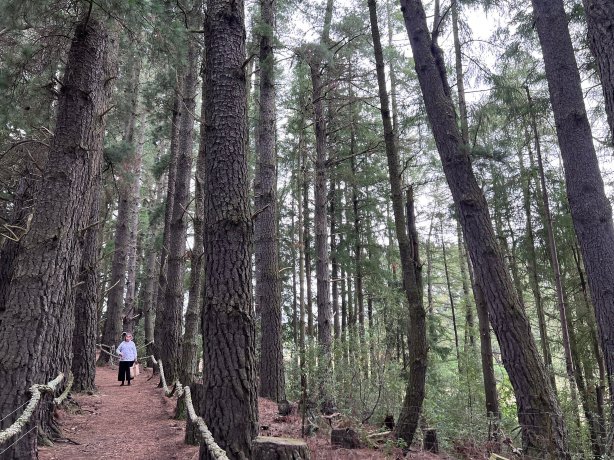 Fable Terrace Downs 美憬阁度假酒店-官方