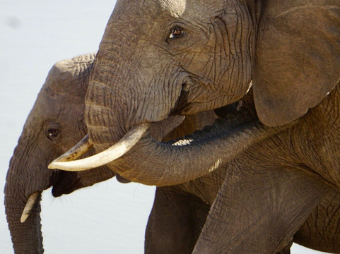 Odyssey Safaris-南由基必去景点