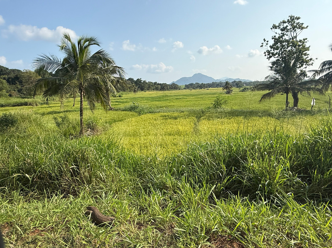 Miles In Paradise-哈巴拉杜瓦必去景点