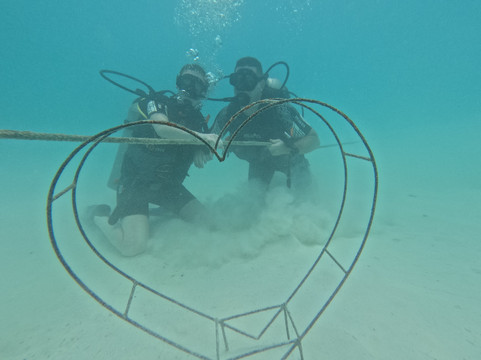 DivePoint Rannalhi-绚丽岛必去景点