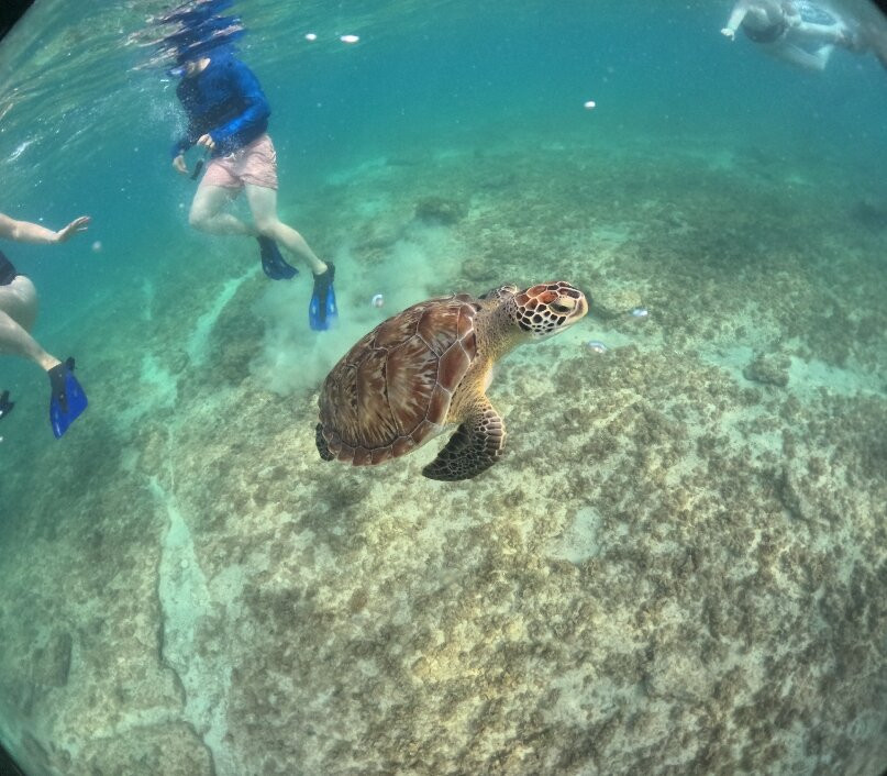 Cancun Adventures - Luxury Sailing & Snorkeling-普拉亚德尔卡曼必去景点