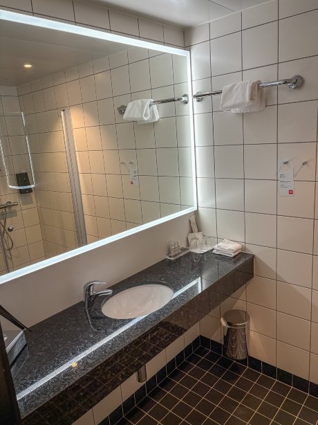 特昂阿尔塔酒店-浴室