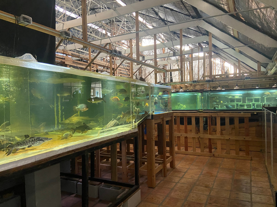 Fish Story Aquarium and Rescue-那不勒斯必去景点