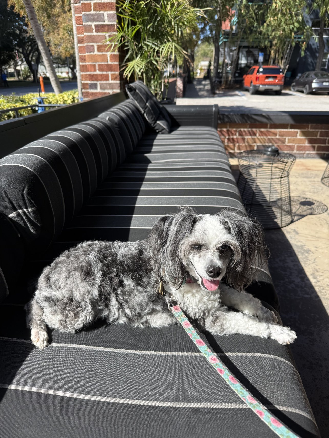 圣彼得堡市中心霍兰德酒店-浴室