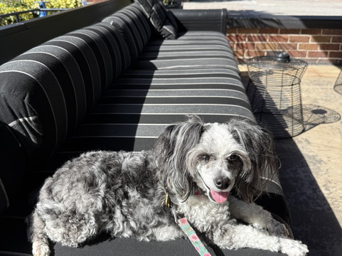 圣彼得堡市中心霍兰德酒店主图