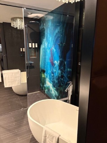 苏黎世卡米哈大酒店-傲途格精选-浴室