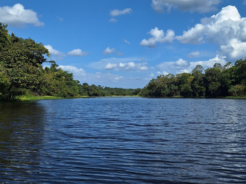 Amazon Amazing Tours-玛瑙斯必去景点