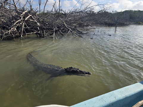 Hotel Punta Ponto酒店主图