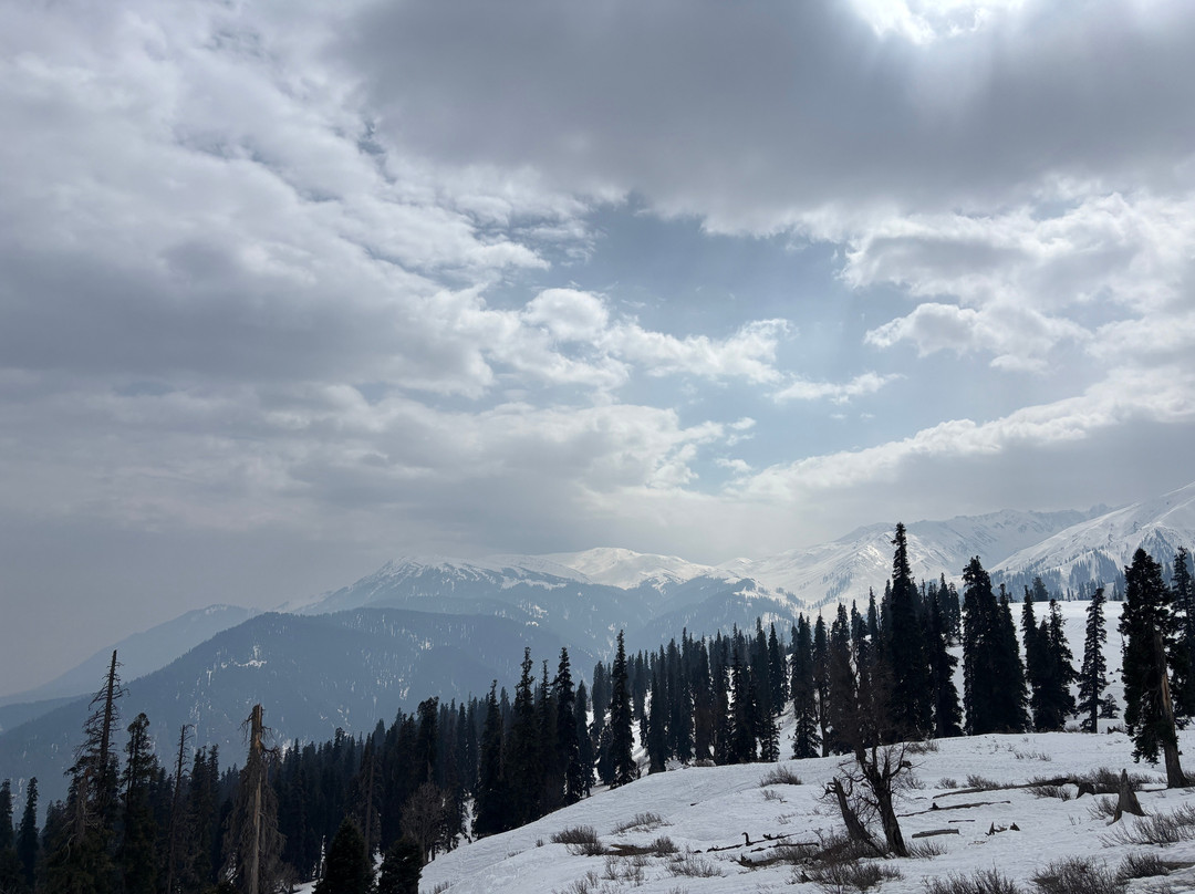 Nishat Tours And Travels-斯利那加必去景点