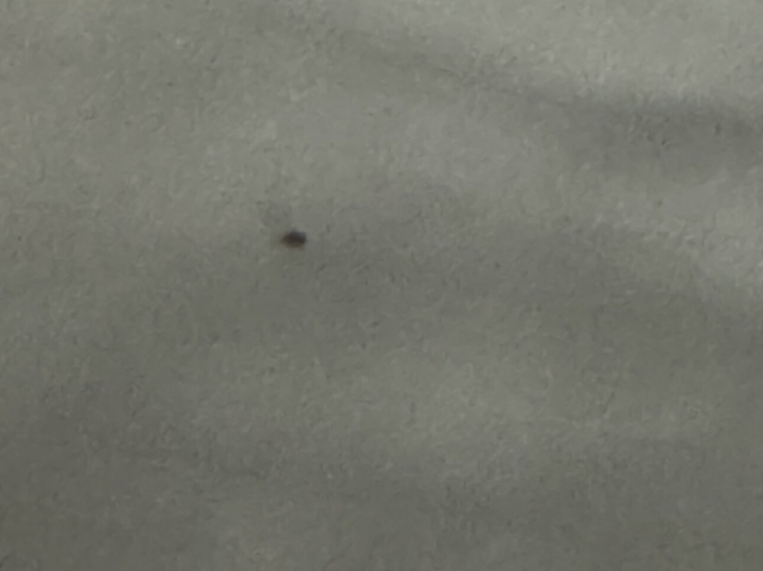 北伍德兰兹温德姆速 8 酒店主图