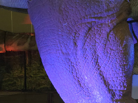 Jurassic Quest-Conroe必去景点