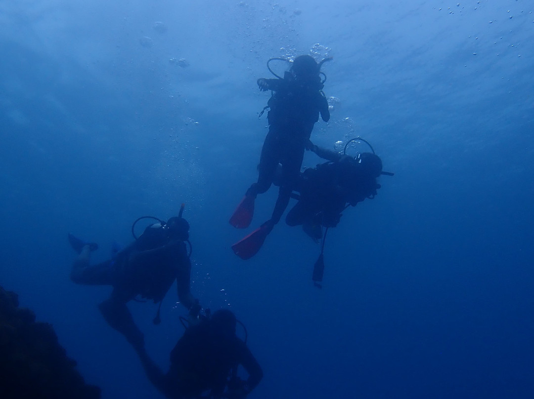 Kalpitiya Diving Center-卡尔皮蒂耶必去景点