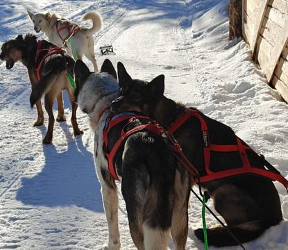 Aavasaksa Adventures-Ylitornio必去景点