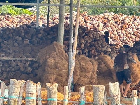 Mango Cruises-胡志明市必去景点