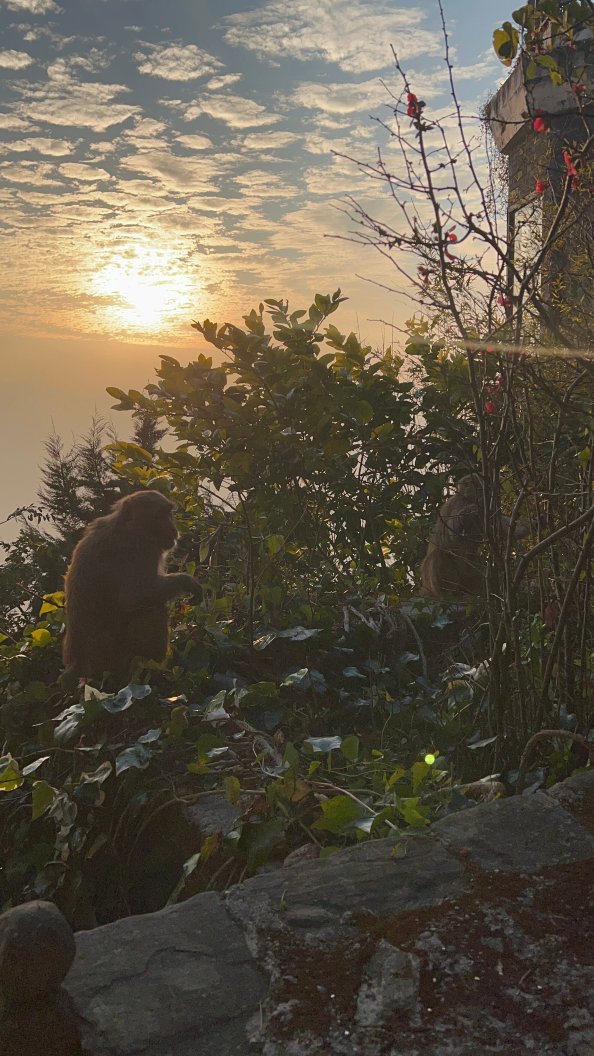 帝国山庄酒店-官方