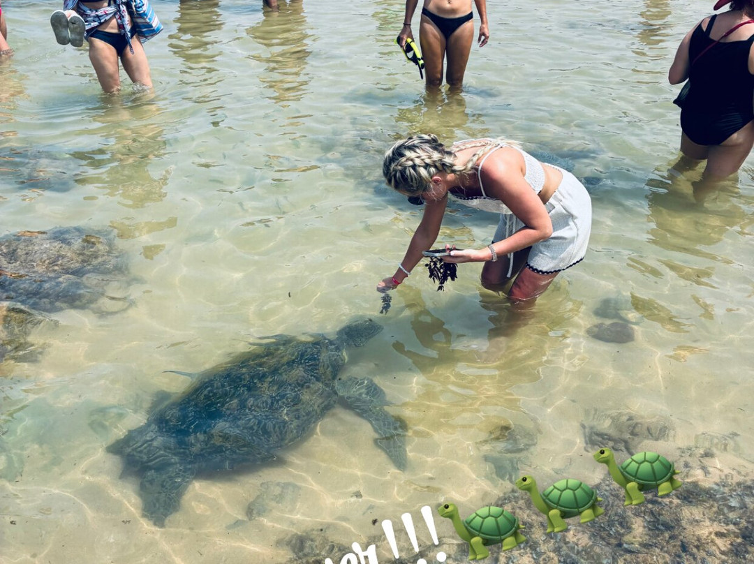 Manu Tours & Travels-亚洪加拉必去景点