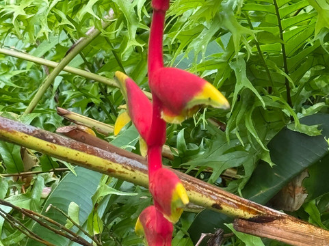 巴尔布拉海洋民宿主图